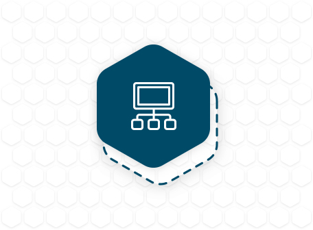 icon for Custom Web-Based Data Systems